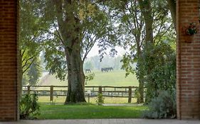Bed And Breakfast Tenuta Mariano  3*