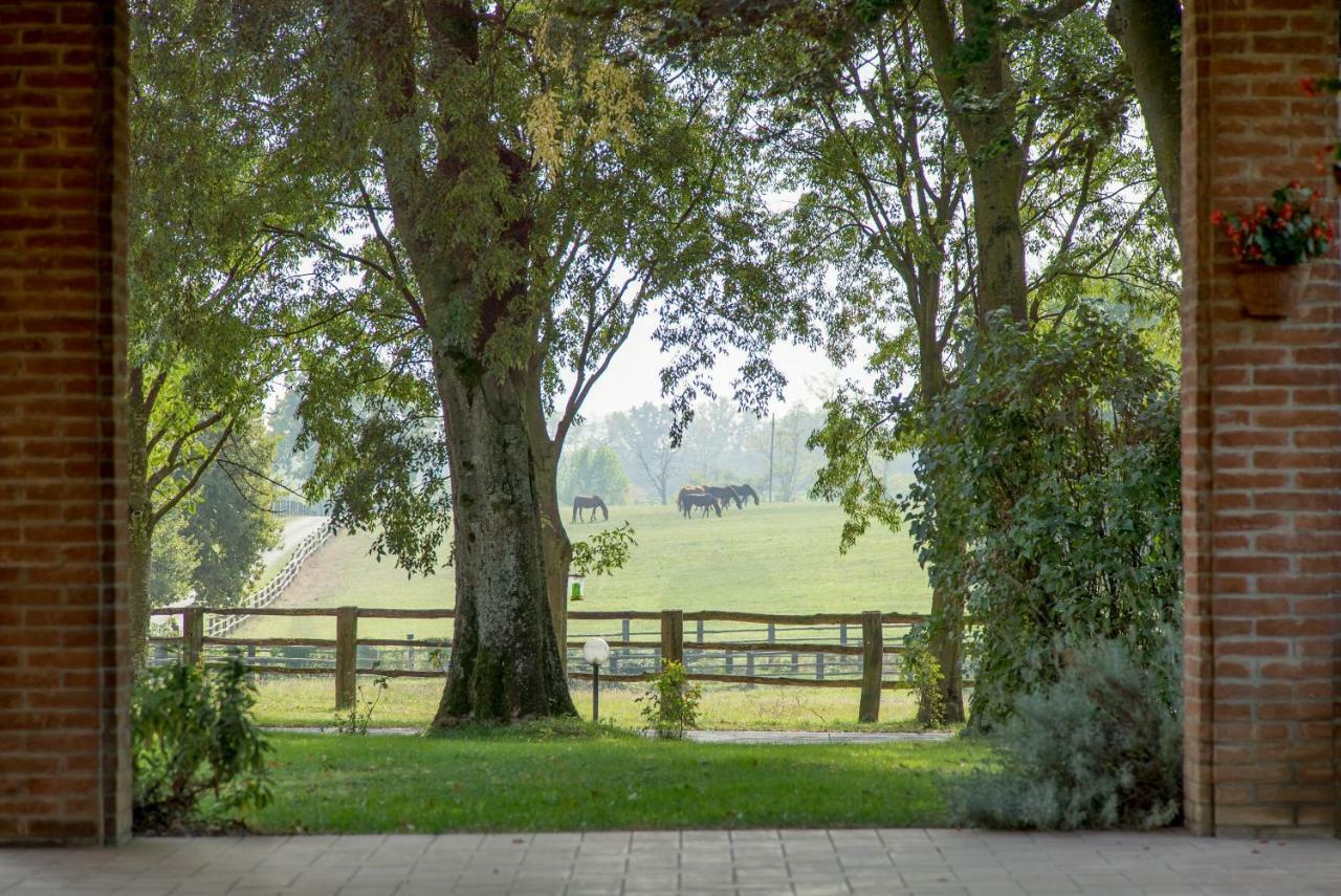 Tenuta Mariano Noceto Esterno foto